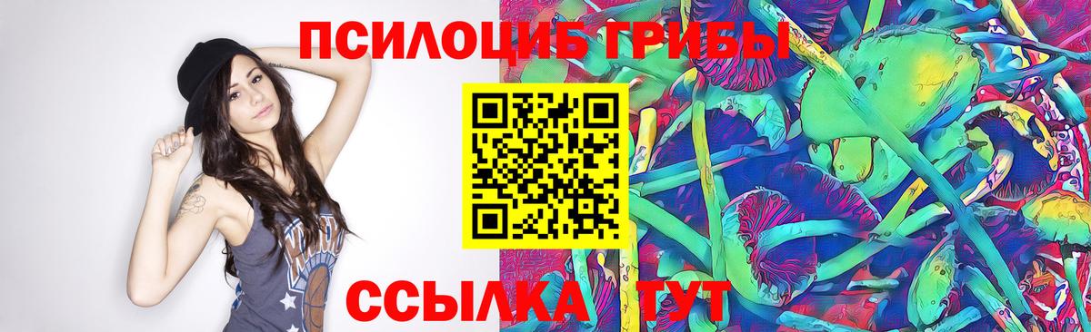 сколько стоит  Псилоцибиновые грибы MAGIC MUSHROOMS  Вход с VPN  Сарапул 